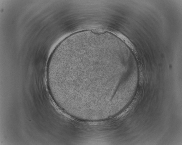 X0000067890904200605111848