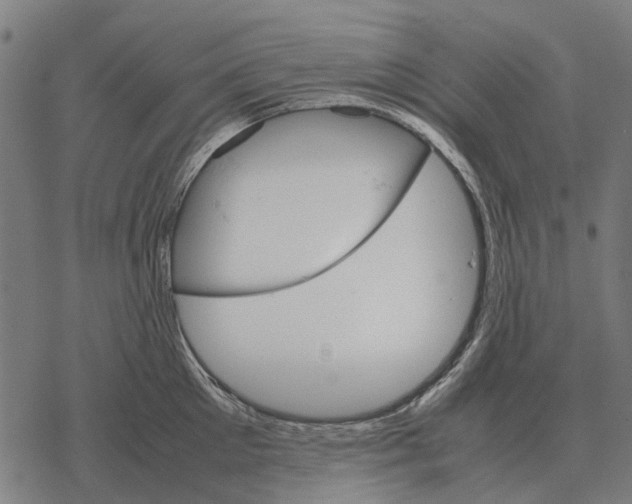 X0000067890905200605111848