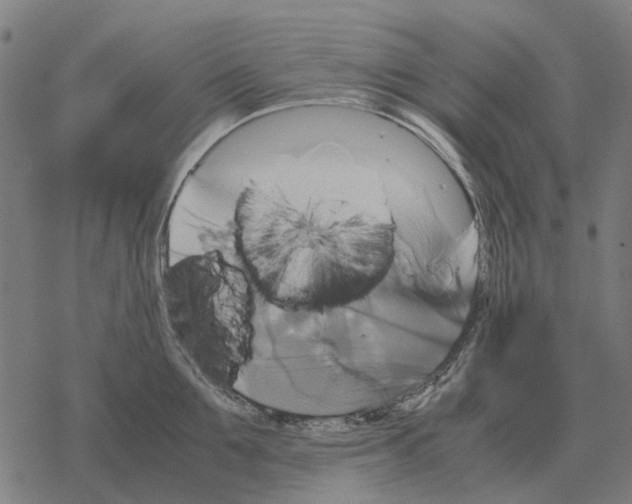 X0000067890907200605111848