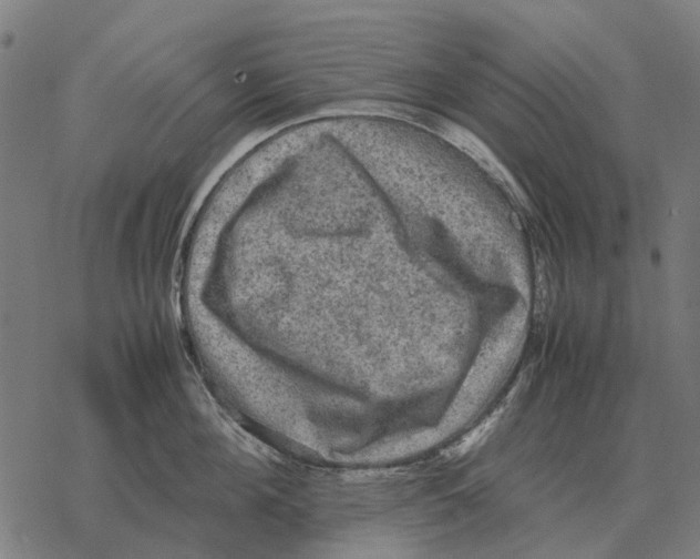 X0000067890908200605111848