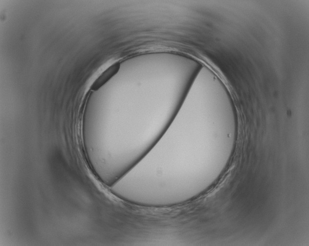 X0000067890909200605111847