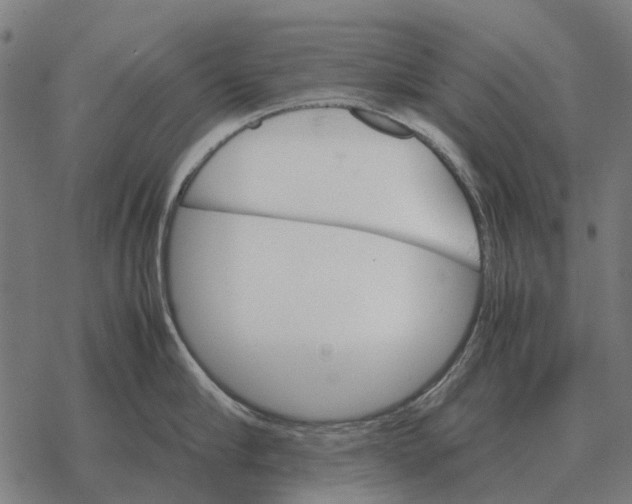 X0000067890910200605111847