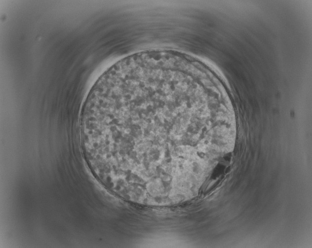 X0000067890911200605111847