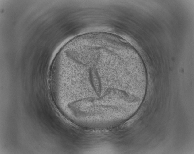 X0000067890912200605111847