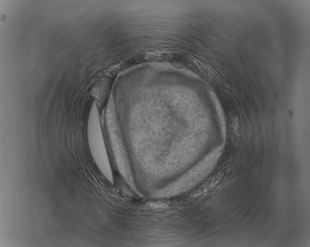 X0000067890914200605111847