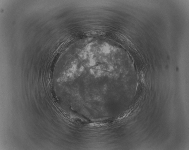 X0000067890915200605111847