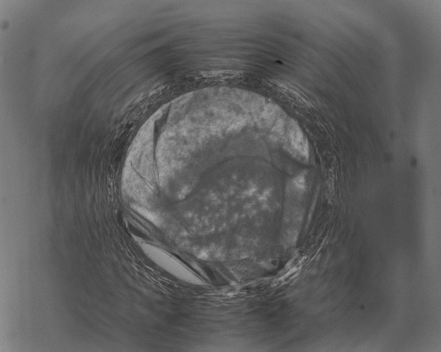 X0000067890917200605111847