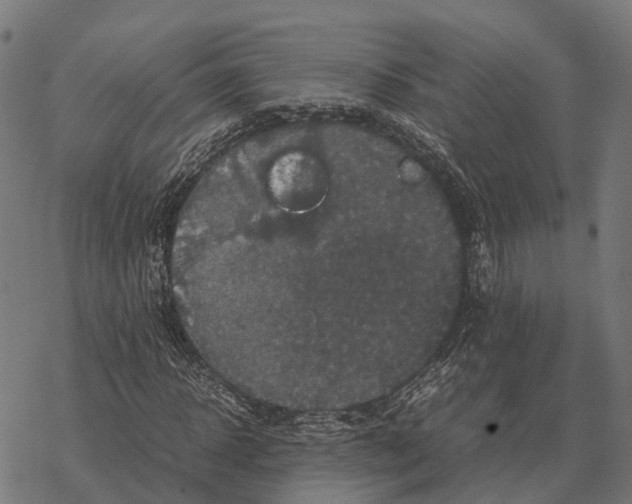 X0000067890918200605111847