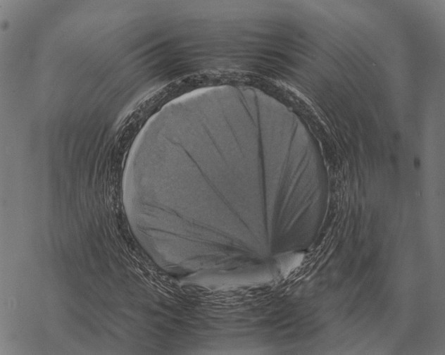 X0000067890919200605111847