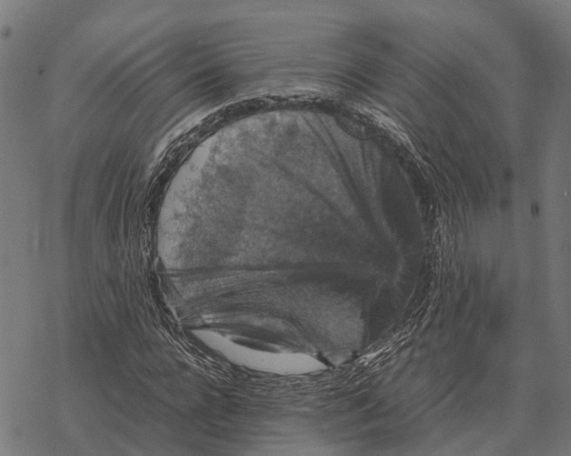 X0000067890920200605111847