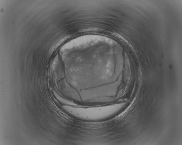 X0000067890921200605111847