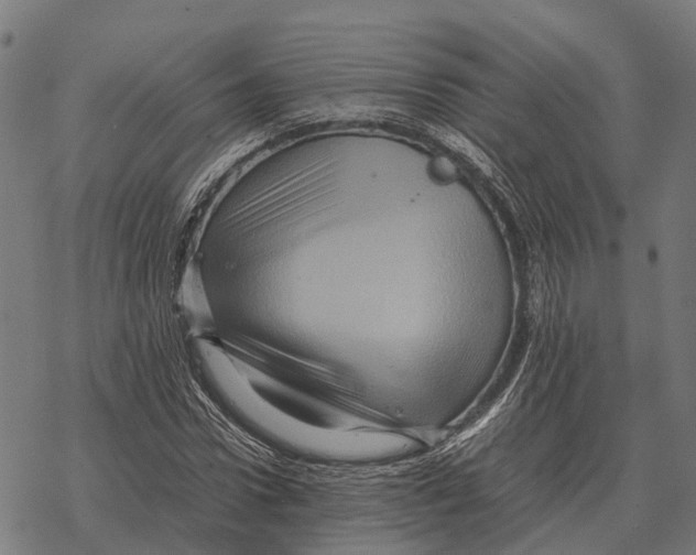 X0000067890922200605111847