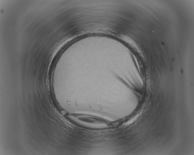 X0000067890924200605111847