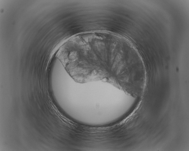 X0000067890925200605111847