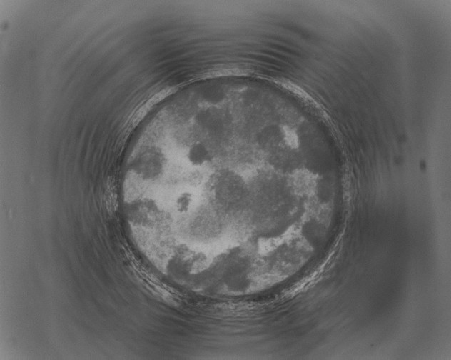 X0000067890929200605111847