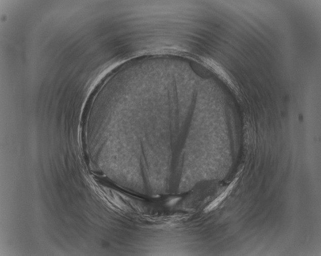 X0000067890932200605111847