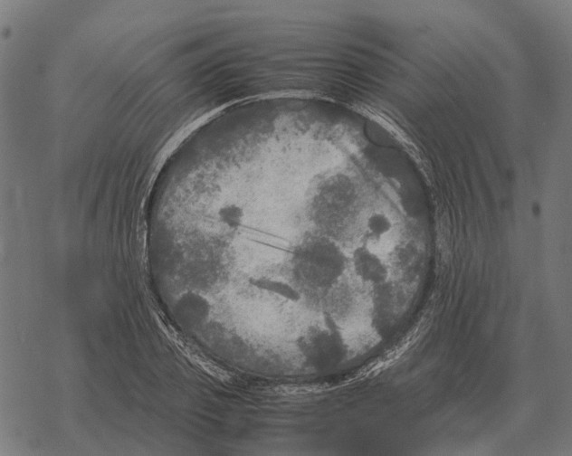 X0000067890933200605111847