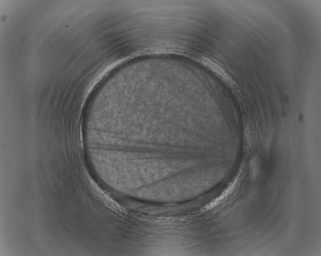 X0000067890934200605111847