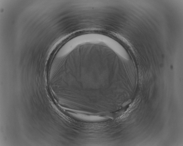 X0000067890935200605111847