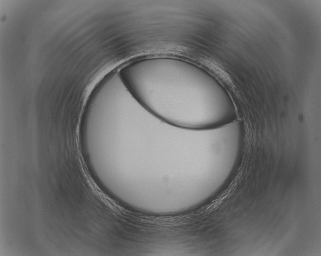 X0000067890936200605111847