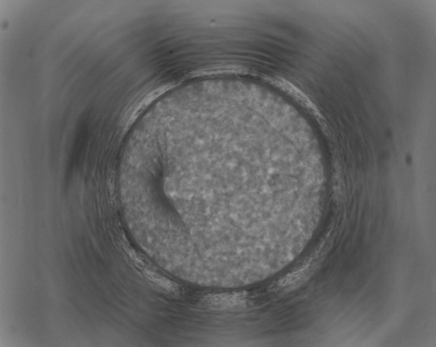 X0000067890937200605111847