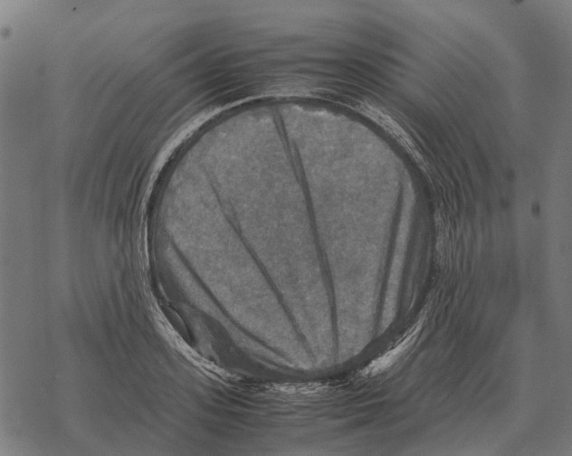 X0000067890939200605111847