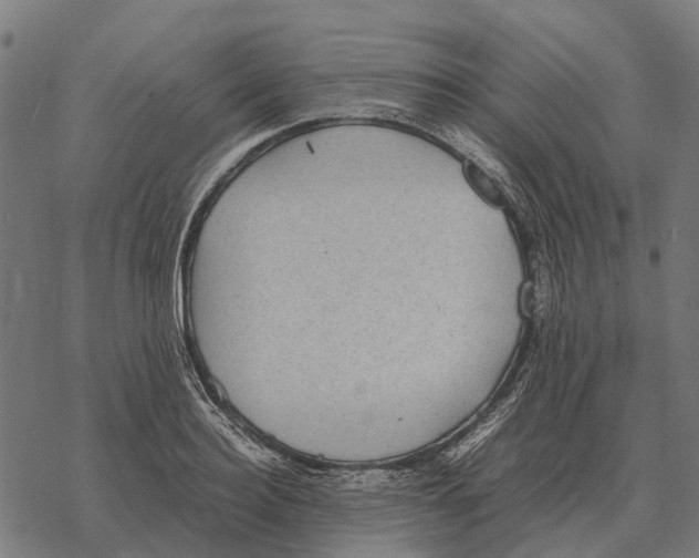 X0000067890940200605111847