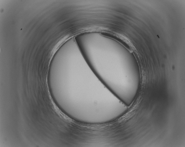 X0000067890946200605111847