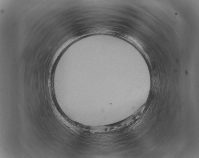 X0000067890947200605111847