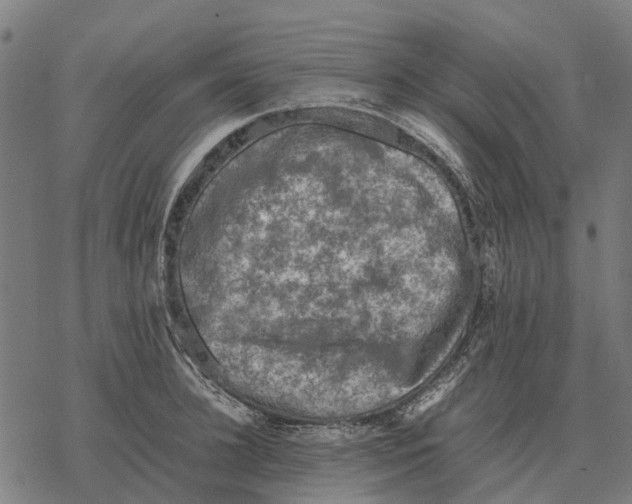 X0000067890948200605111847