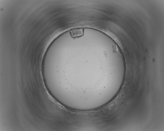 X0000067890950200605111847