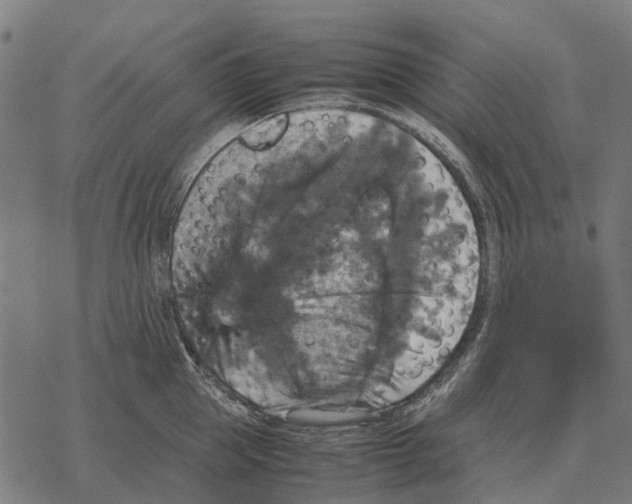 X0000067890953200605111847