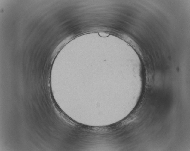 X0000067890954200605111847