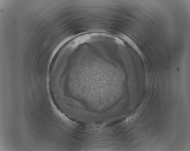 X0000067890955200605111847