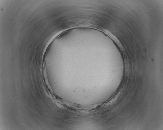 X0000067890956200605111847