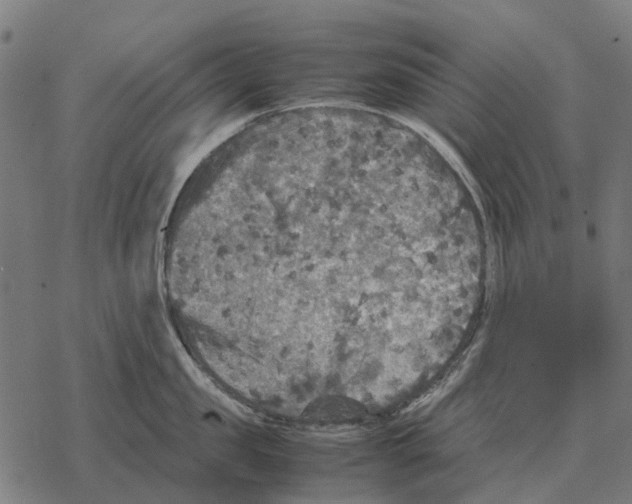 X0000067890957200605111847