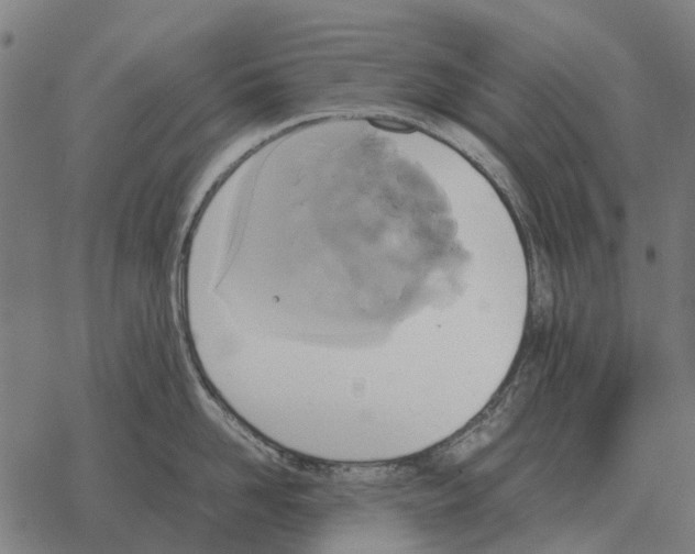 X0000067890958200605111847