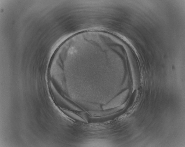 X0000067890959200605111847