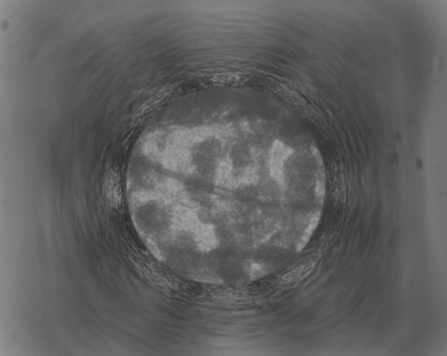 X0000067890962200605111847