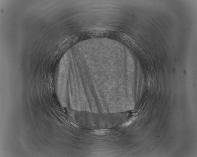 X0000067890964200605111847