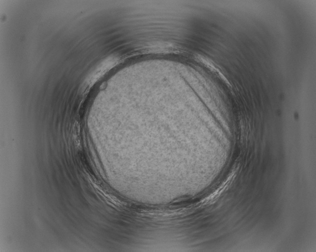 X0000067890970200605111846