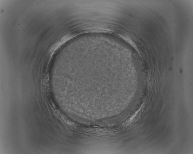 X0000067890971200605111846