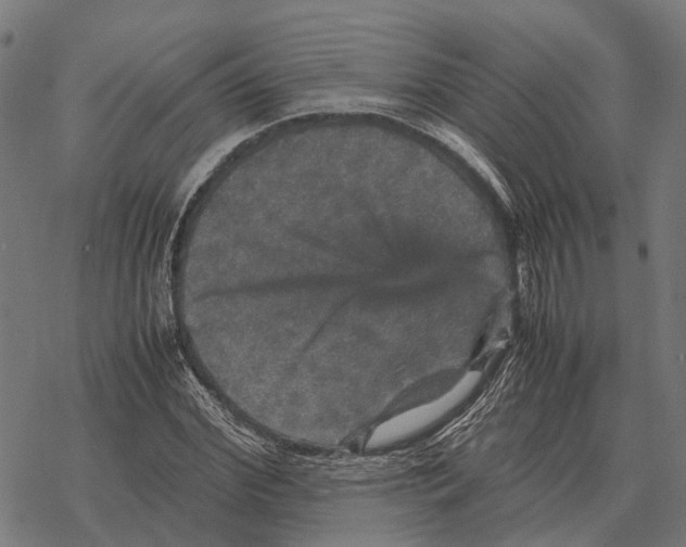 X0000067890972200605111846