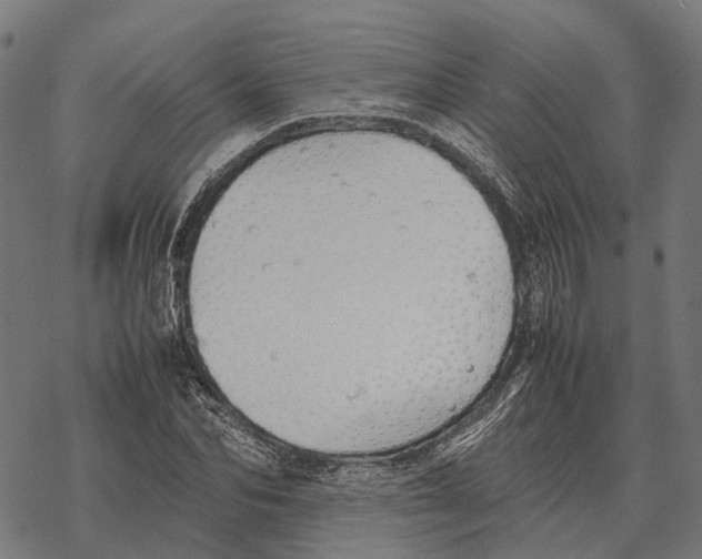 X0000067890974200605111846