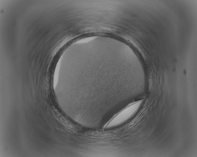 X0000067890975200605111846