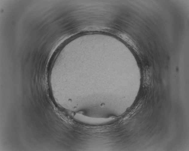 X0000067890976200605111846