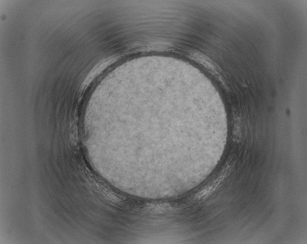 X0000067890978200605111846