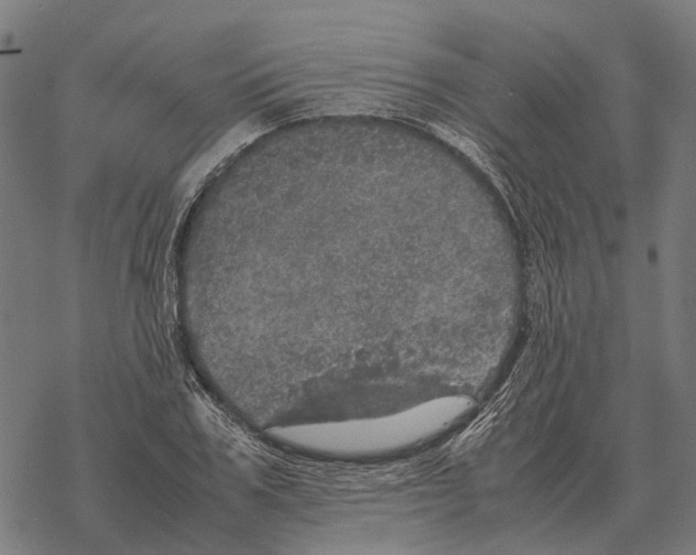 X0000067890979200605111846