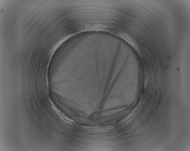 X0000067890980200605111846