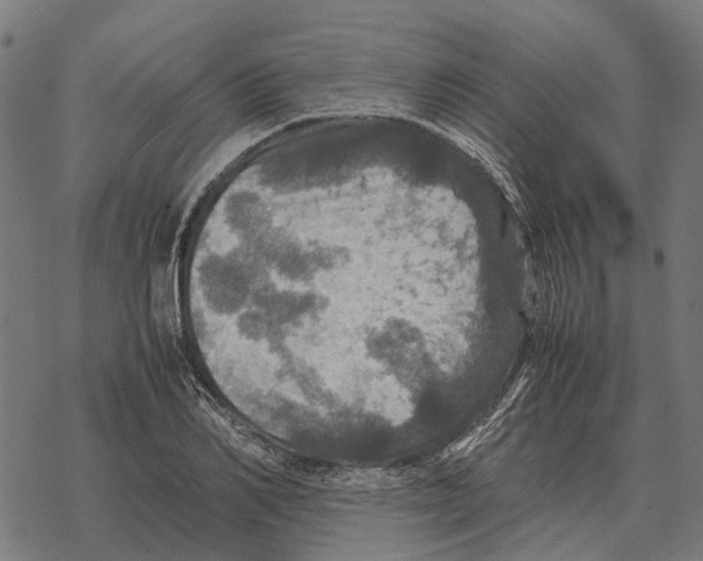 X0000067890982200605111846